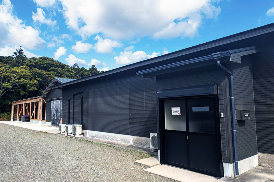 company_tanegashima_1