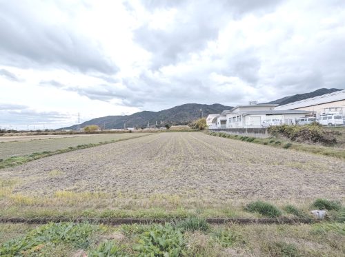 PXL_20251203_040054907