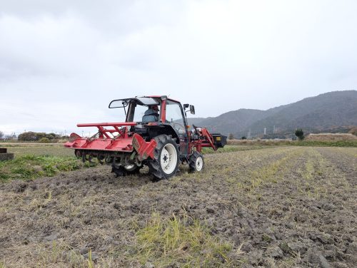 PXL_20251203_045839044